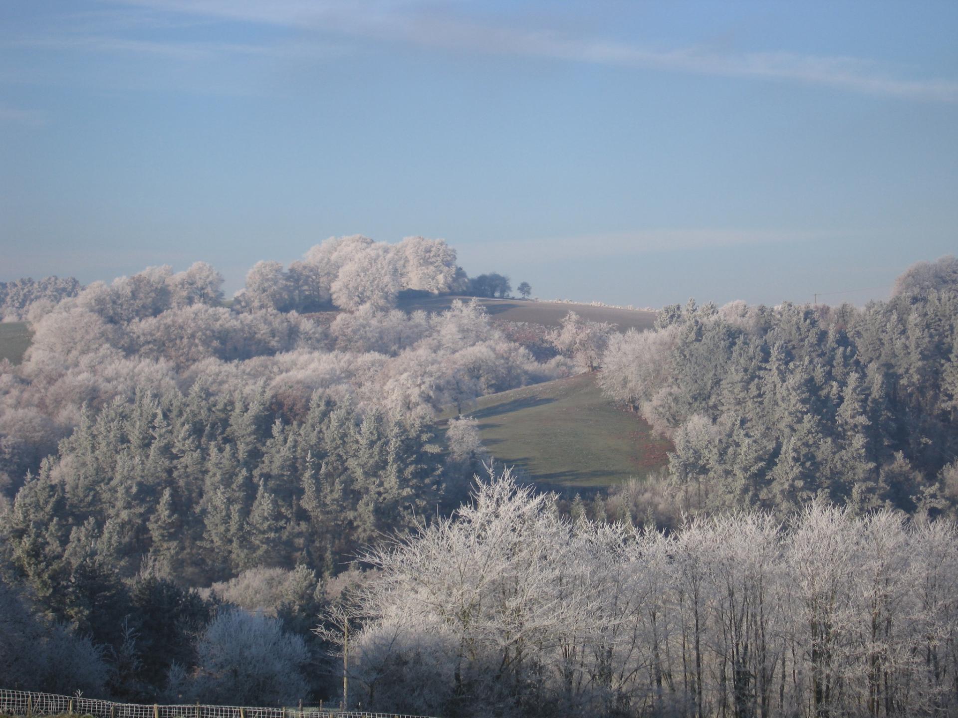 Paysage d'hiver